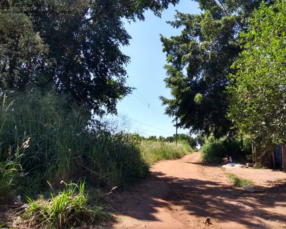 Terreno, 11 hectares - Foto 1