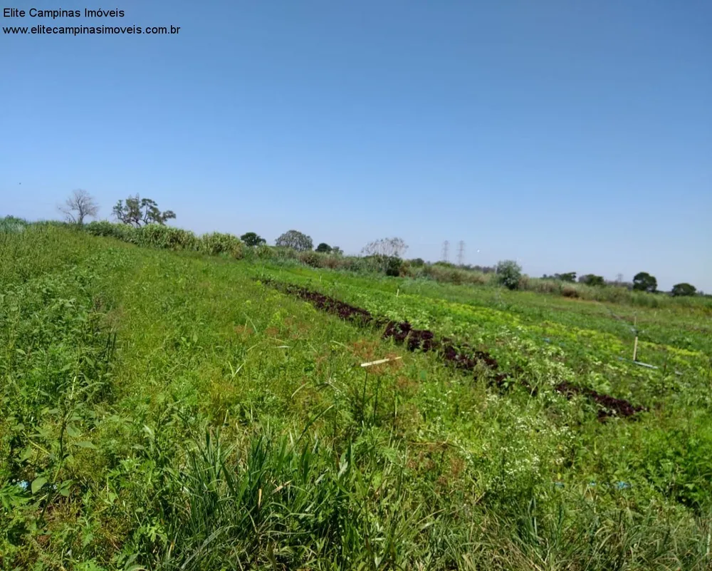 Terreno, 11 hectares - Foto 4