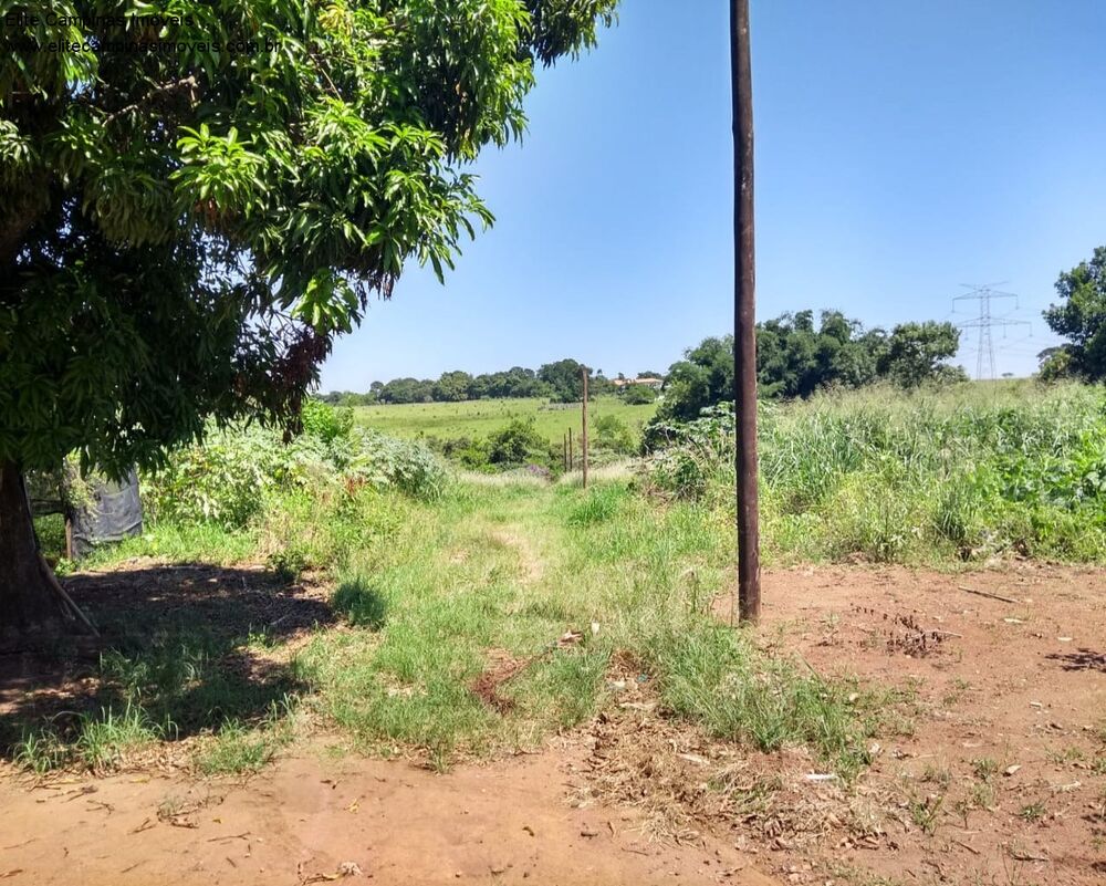 Terreno, 11 hectares - Foto 4