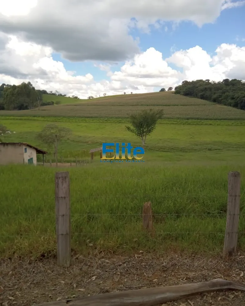 Fazenda, 291 m² - Foto 2