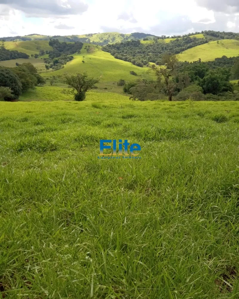 Fazenda, 291 m² - Foto 3