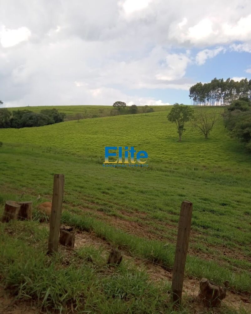 Fazenda, 291 m² - Foto 3