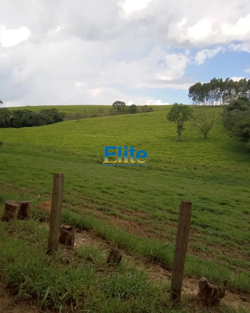 Fazenda, 291 m² - Foto 14
