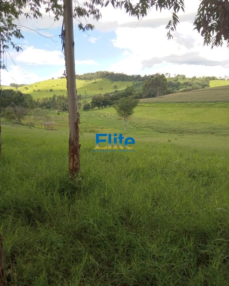 Fazenda, 291 m² - Foto 2