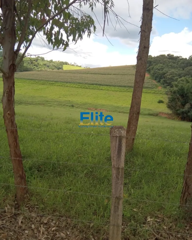 Fazenda, 291 m² - Foto 16