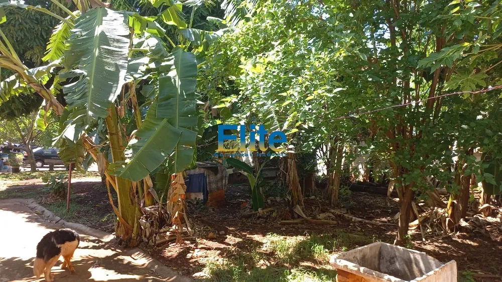 Casa, 4 quartos - Foto 16