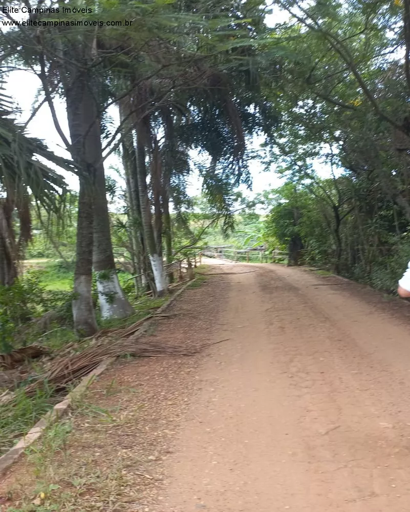 Fazenda à venda, 60000m² - Foto 2