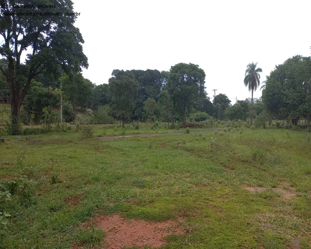 Terreno, 6 hectares - Foto 17