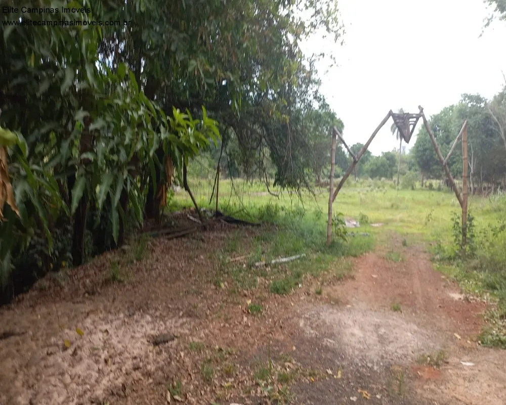 Terreno, 6 hectares - Foto 15