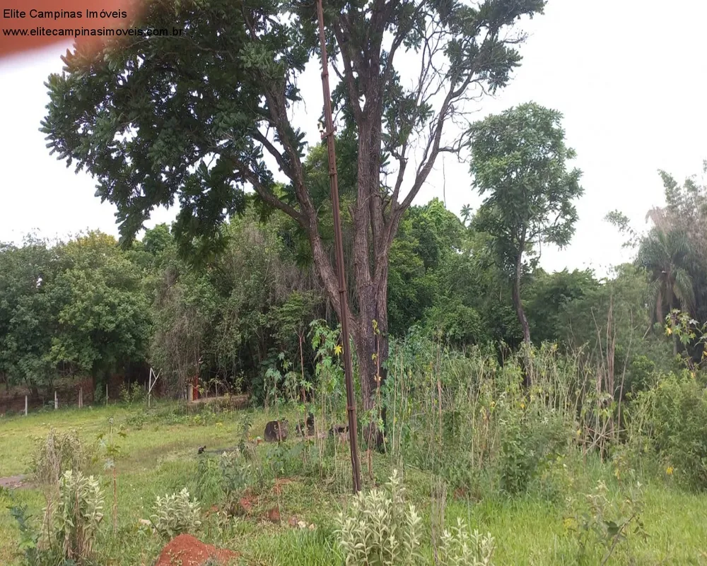 Terreno, 6 hectares - Foto 16