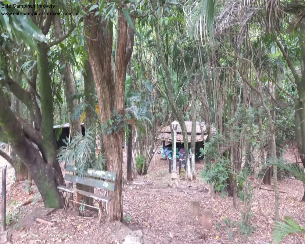 Terreno, 6 hectares - Foto 11