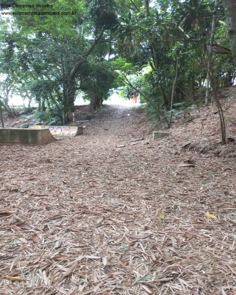 Terreno, 6 hectares - Foto 7