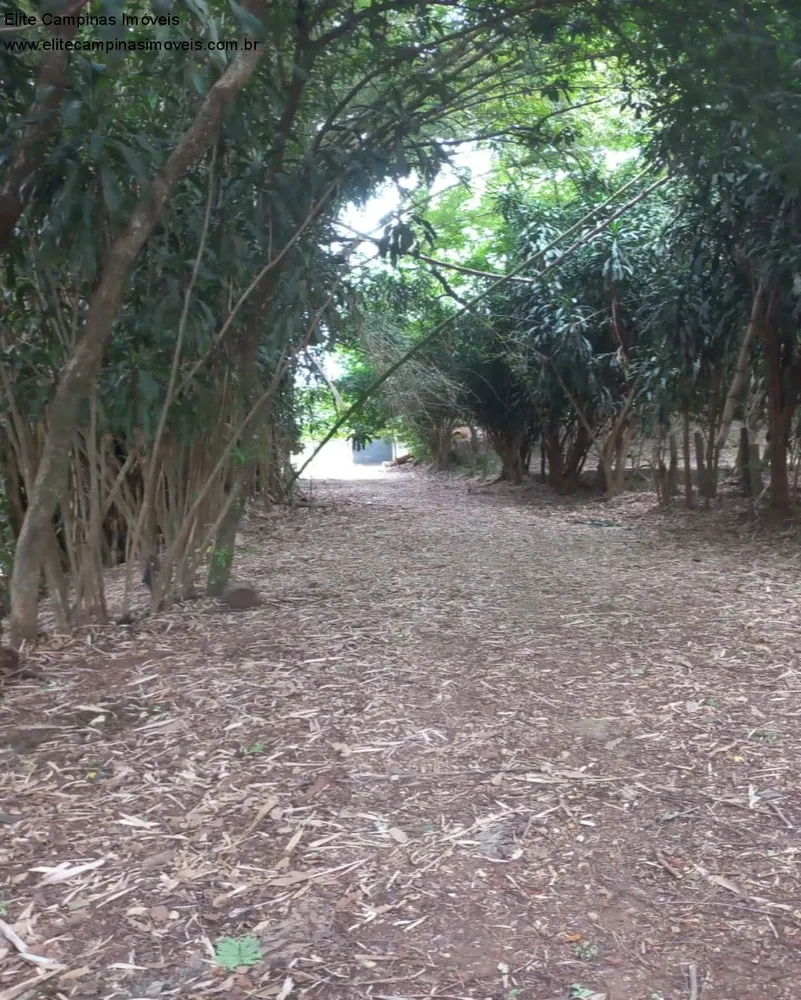 Terreno, 6 hectares - Foto 9