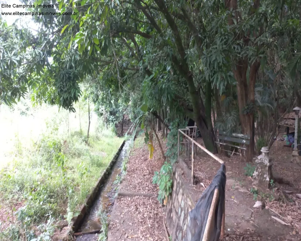 Terreno, 6 hectares - Foto 10