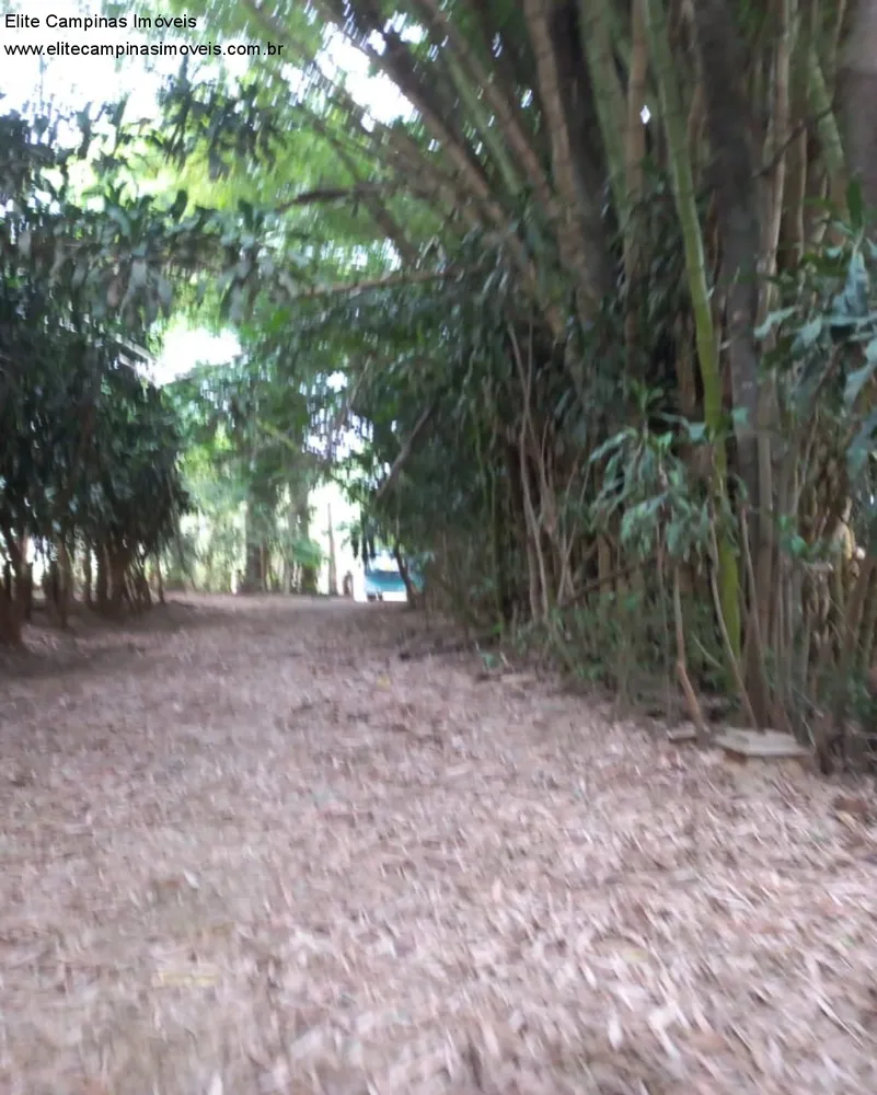 Terreno, 6 hectares - Foto 8