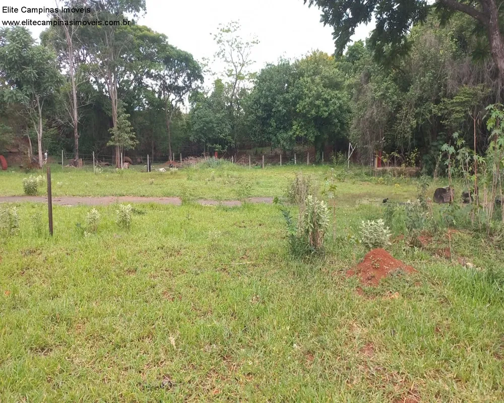 Terreno, 6 hectares - Foto 14