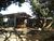 Chácara, 6 quartos, 3 hectares - Foto 4