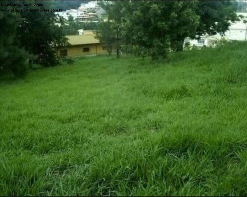 Terreno, 3393 m² - Foto 4