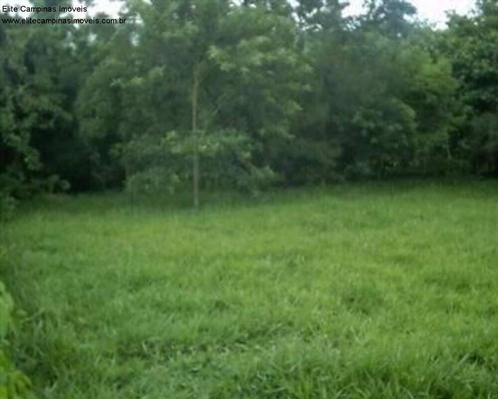 Terreno, 3393 m² - Foto 3