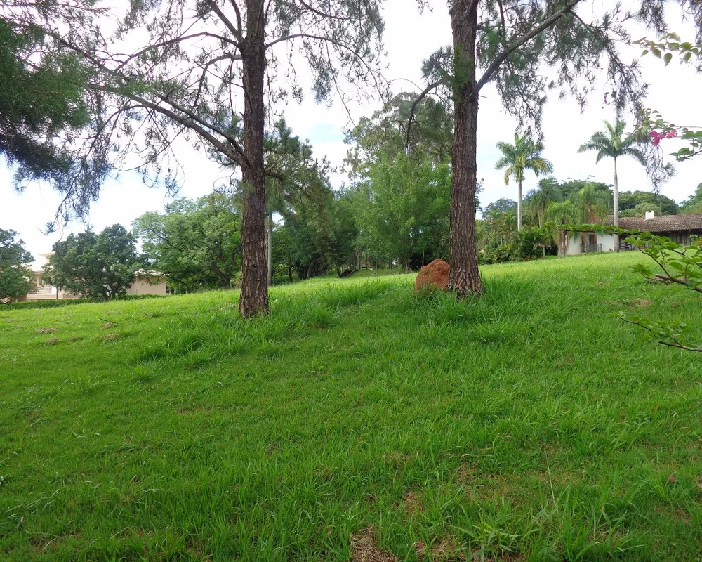 Terreno, 5500 m² - Foto 3