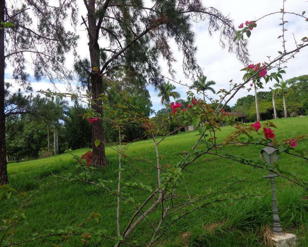 Terreno, 5500 m² - Foto 5