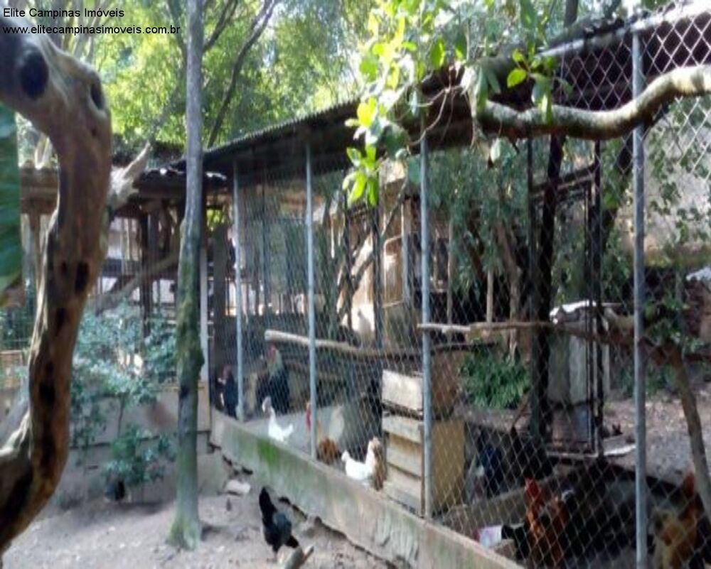 Terreno, 5250 m² - Foto 8