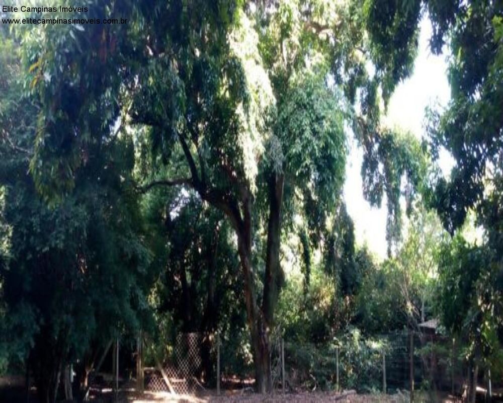 Terreno, 5250 m² - Foto 10