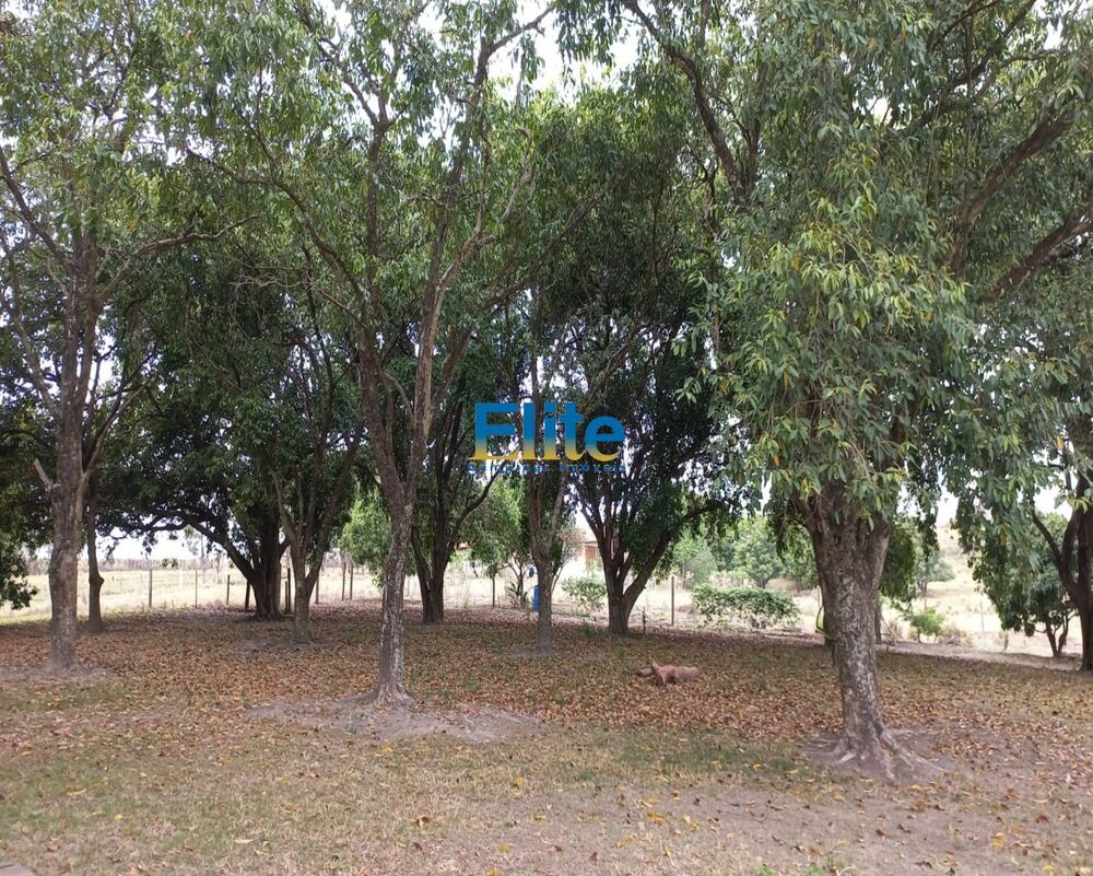 Sítio, 3 quartos, 19 m² - Foto 13