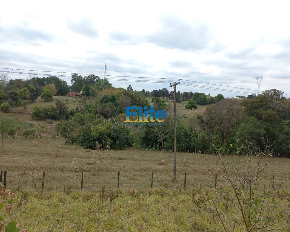 Sítio, 3 quartos, 19 m² - Foto 15