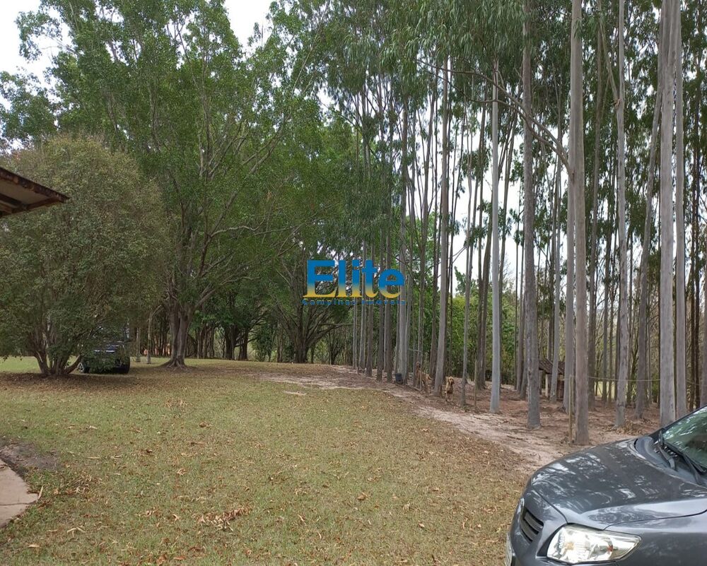 Sítio, 3 quartos, 19 m² - Foto 6