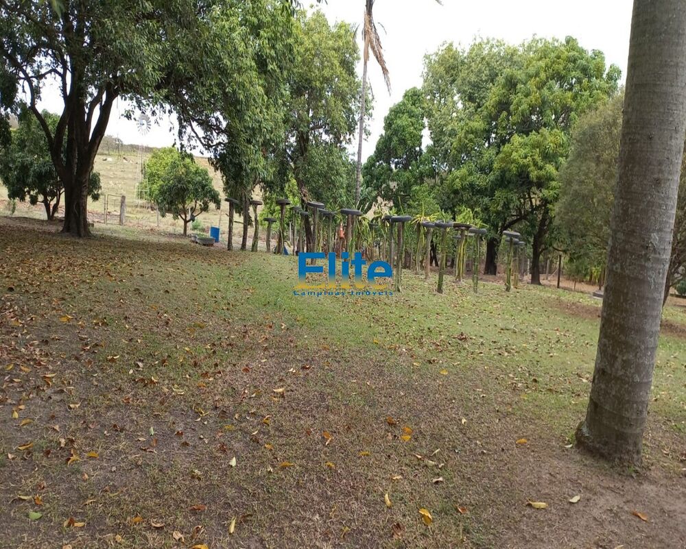 Sítio, 3 quartos, 19 m² - Foto 12