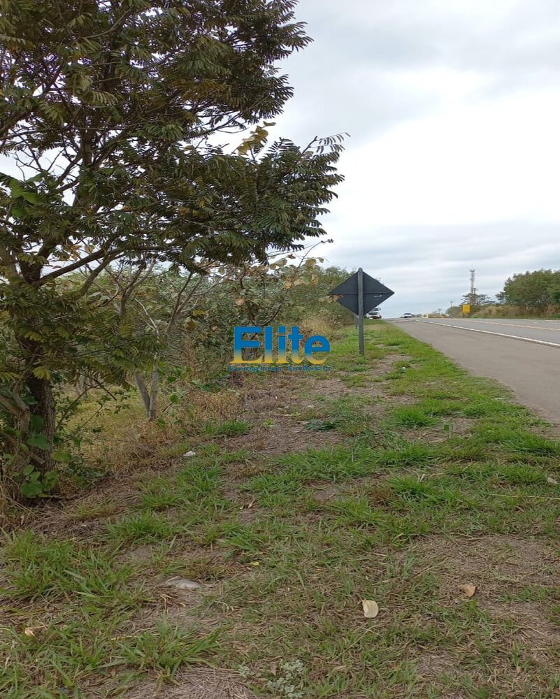 Sítio, 3 quartos, 19 m² - Foto 22