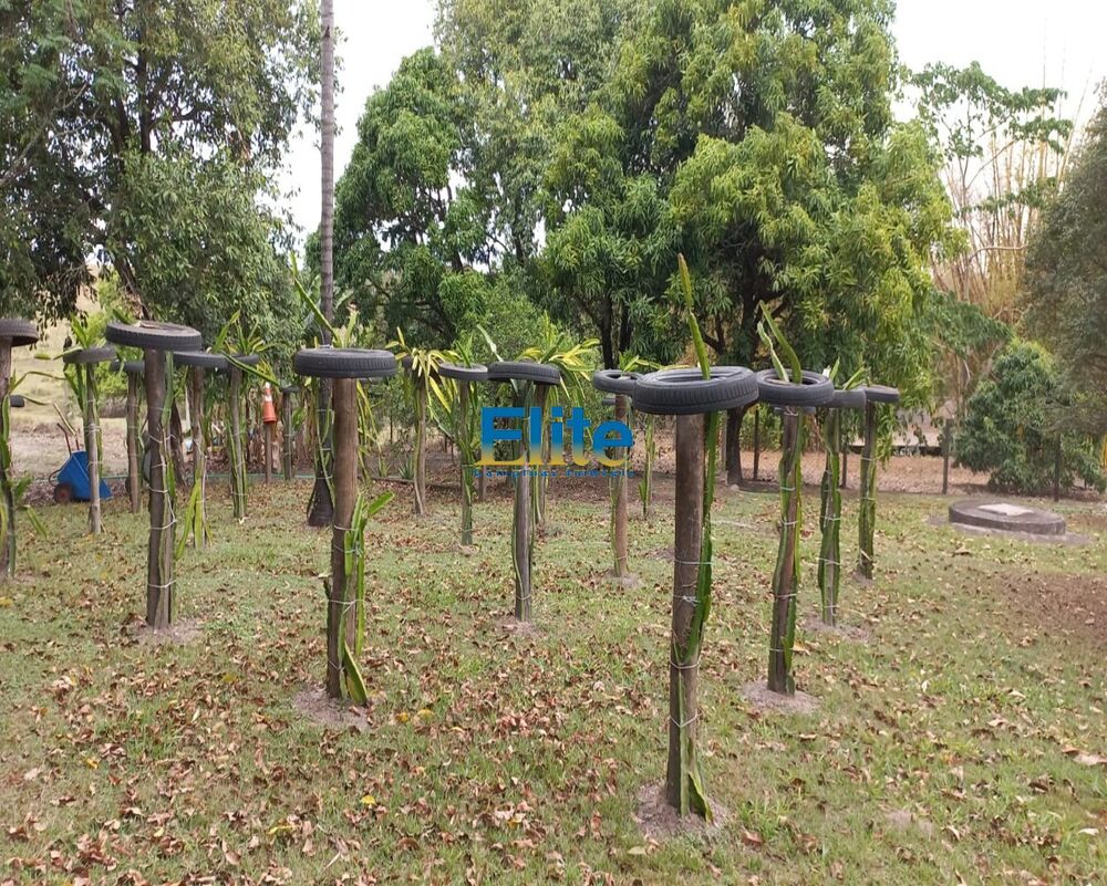 Sítio, 3 quartos, 19 m² - Foto 8