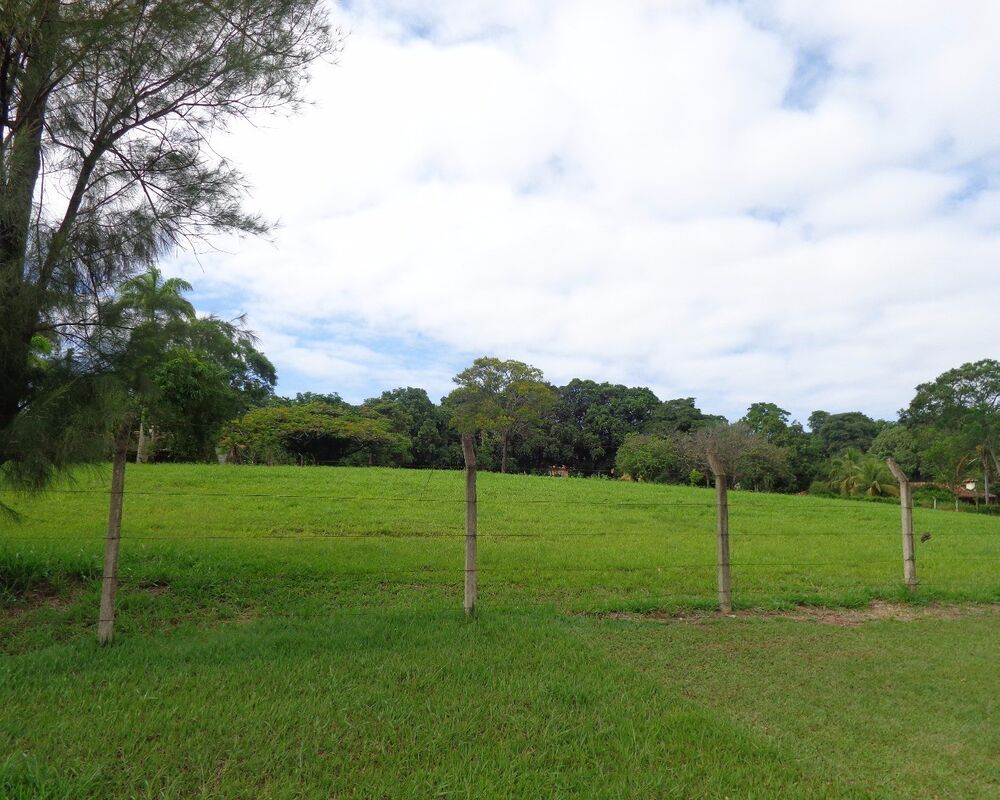 Terreno, 7000 m² - Foto 1