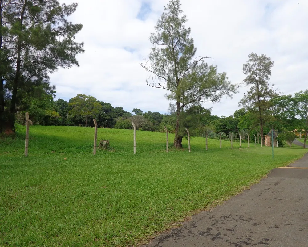 Terreno, 7000 m² - Foto 1