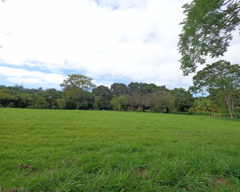 Terreno, 7000 m² - Foto 7