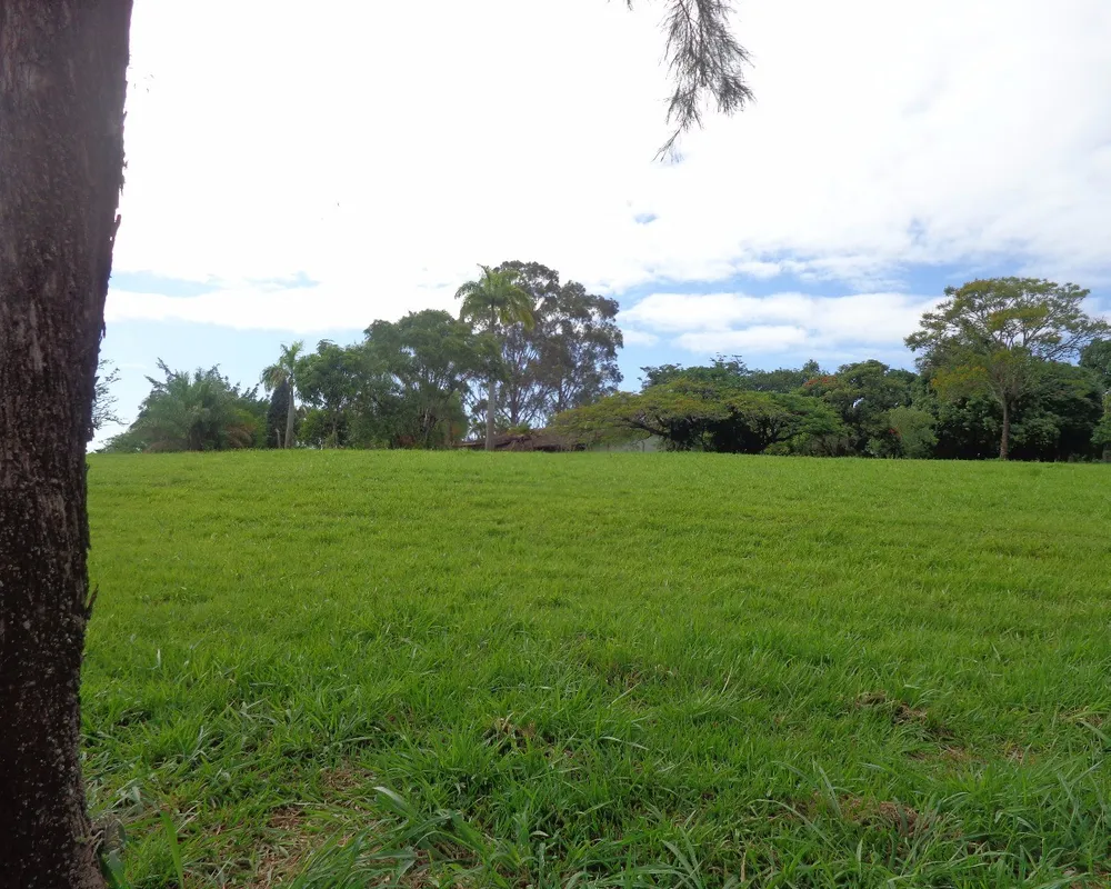 Terreno, 7000 m² - Foto 8