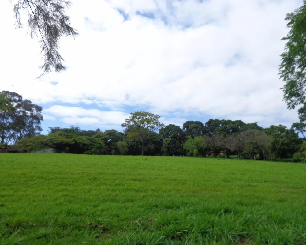 Terreno, 7000 m² - Foto 6