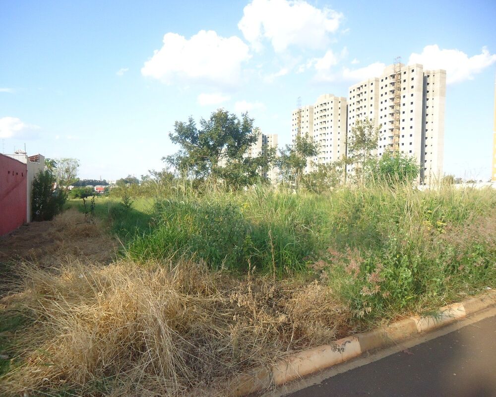Terreno, 13000 m² - Foto 2