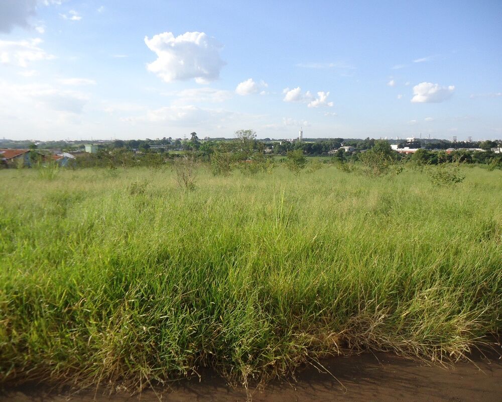 Terreno, 13000 m² - Foto 4