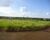 Terreno, 13000 m² - Foto 4