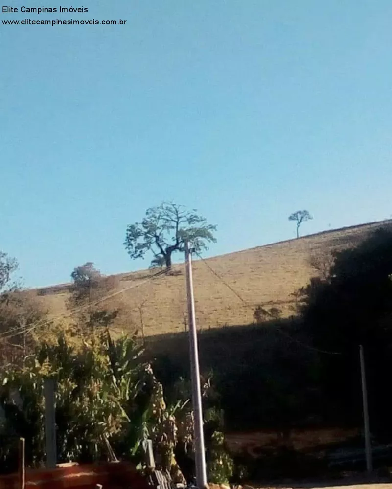 Sítio à venda com 3 quartos, 160000m² - Foto 3