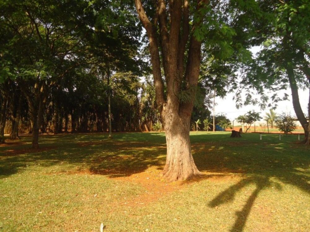 Chácara, 4 quartos, 2802 m² - Foto 18