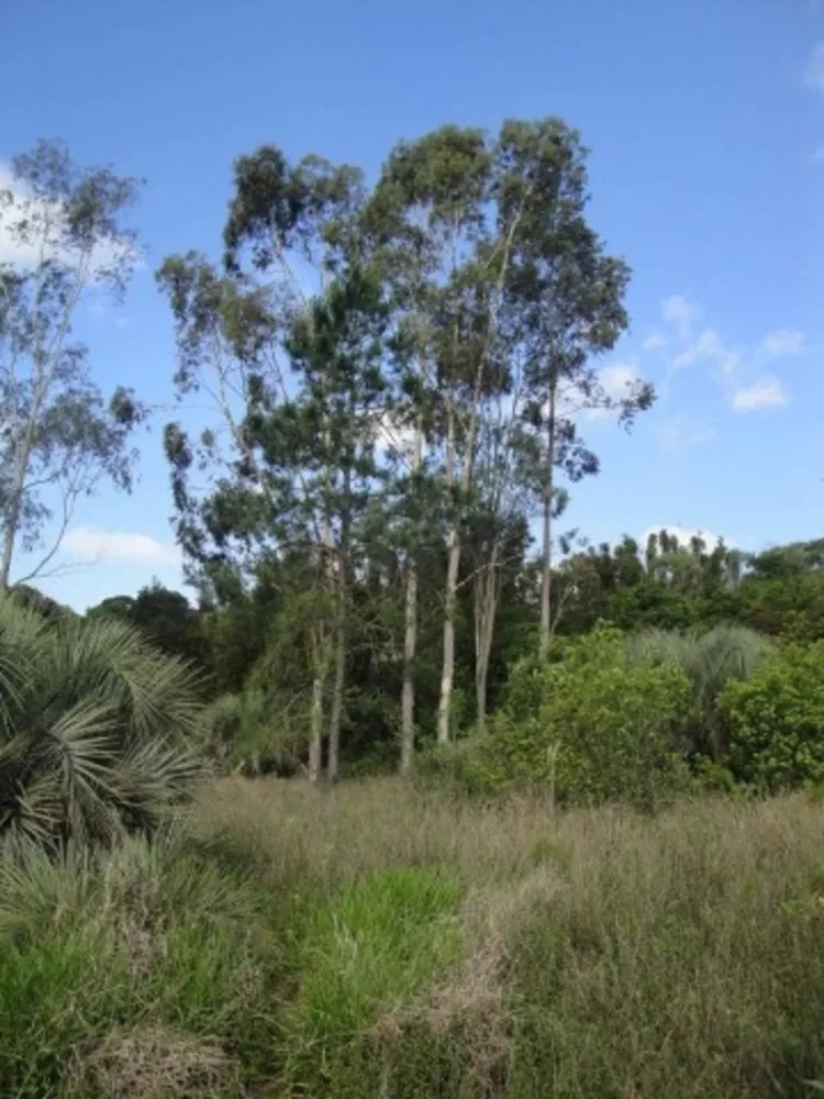 Terreno à venda, 4m² - Foto 4