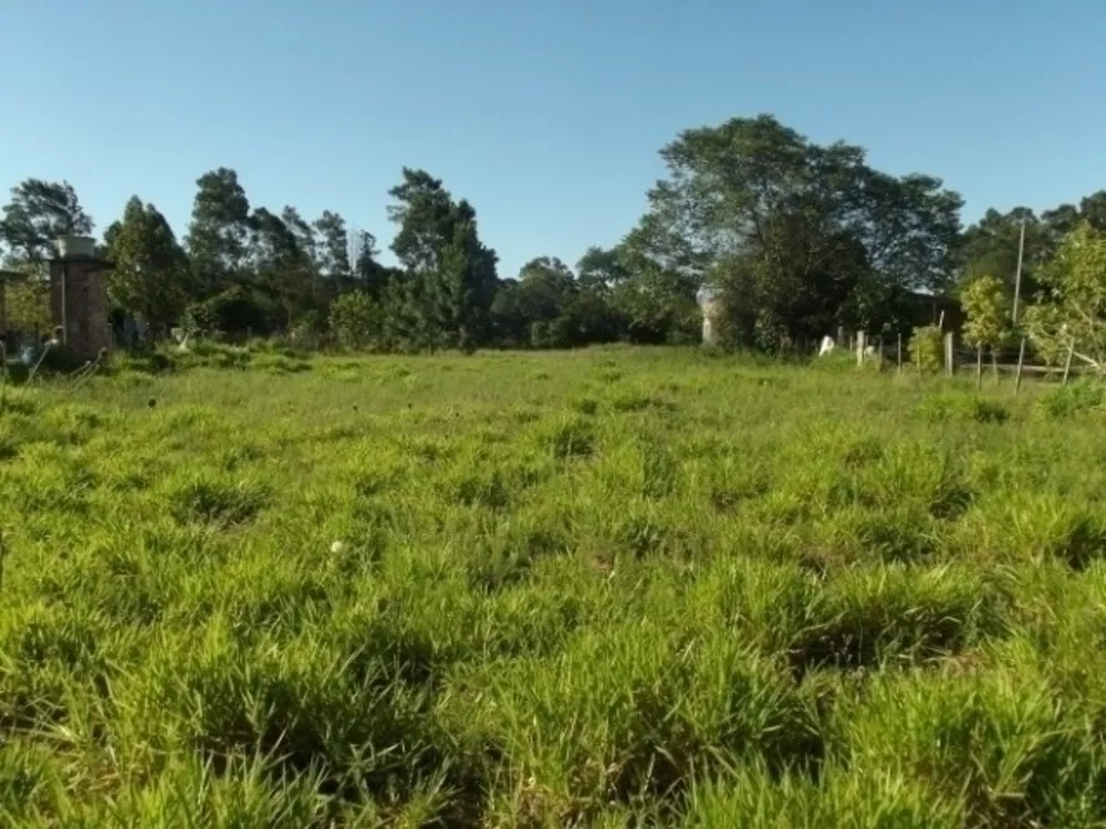 Terreno à venda, 2000m² - Foto 3