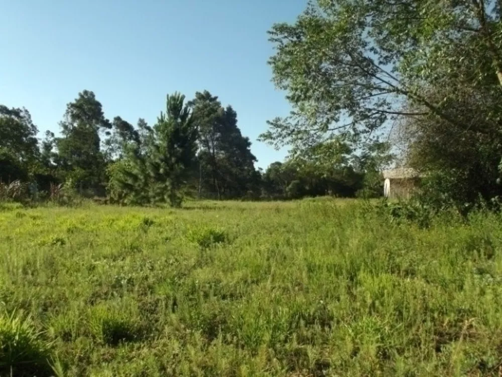 Terreno à venda, 2000m² - Foto 4