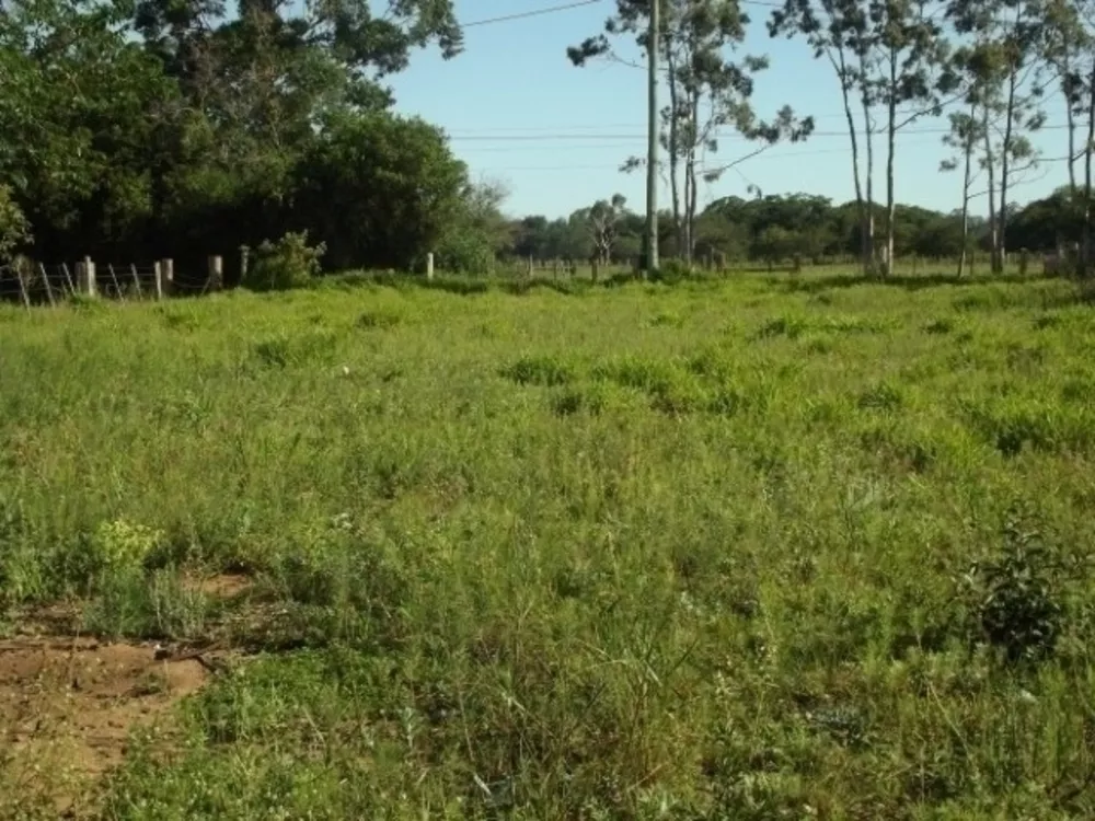 Terreno à venda, 2000m² - Foto 1