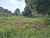 Terreno, 850 m² - Foto 2
