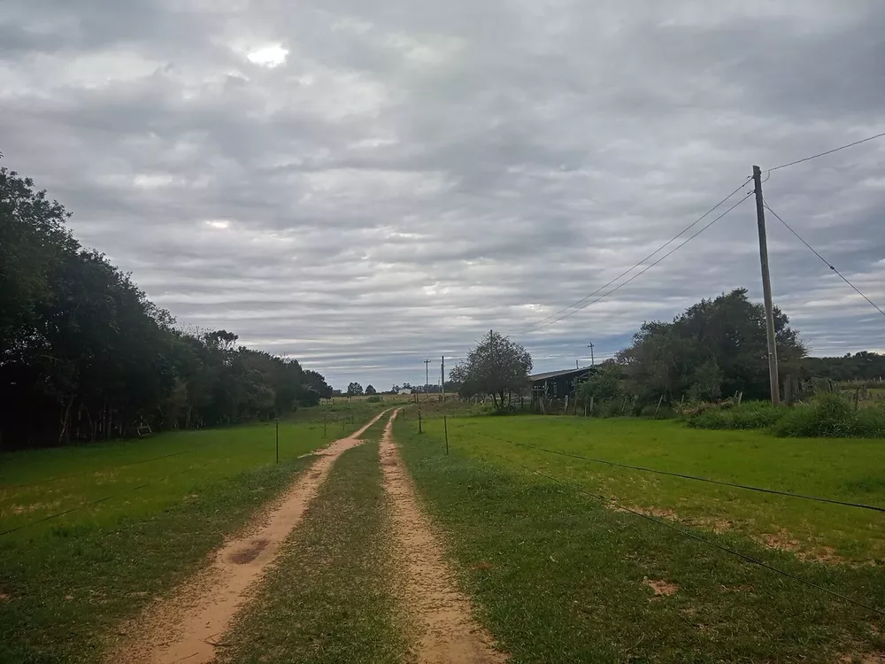 Fazenda à venda com 2 quartos, 20000m² - Foto 1