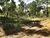 Fazenda, 50 m² - Foto 2